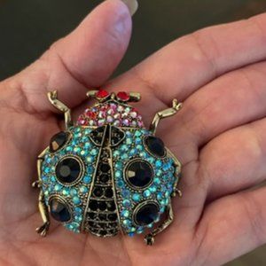 Cara ladybug rhinestone brooch